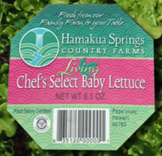 baby-lettuce