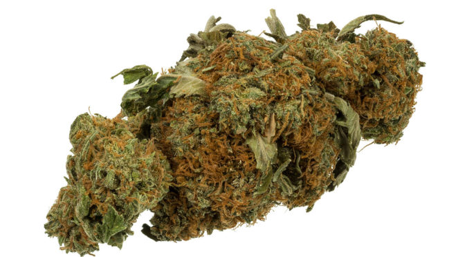 Part Three: Who Takes Medical Marijuana?