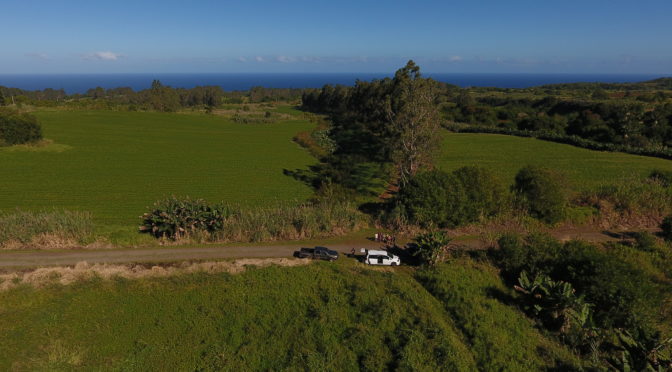 Precision Ag: MIT Students Use Drones to Analyze Soil Nutrient Load at Hamakua Springs